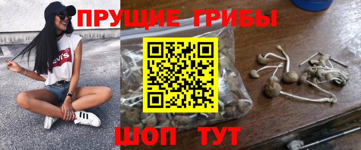 Псилоцибиновые грибы ЛСД  Вход с VPN  Архангельск 